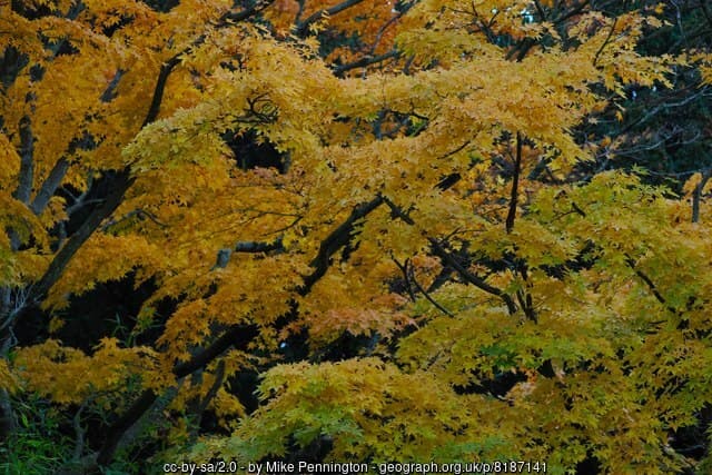 High Wycombe — EV charger installation by Chiltern Energy Group