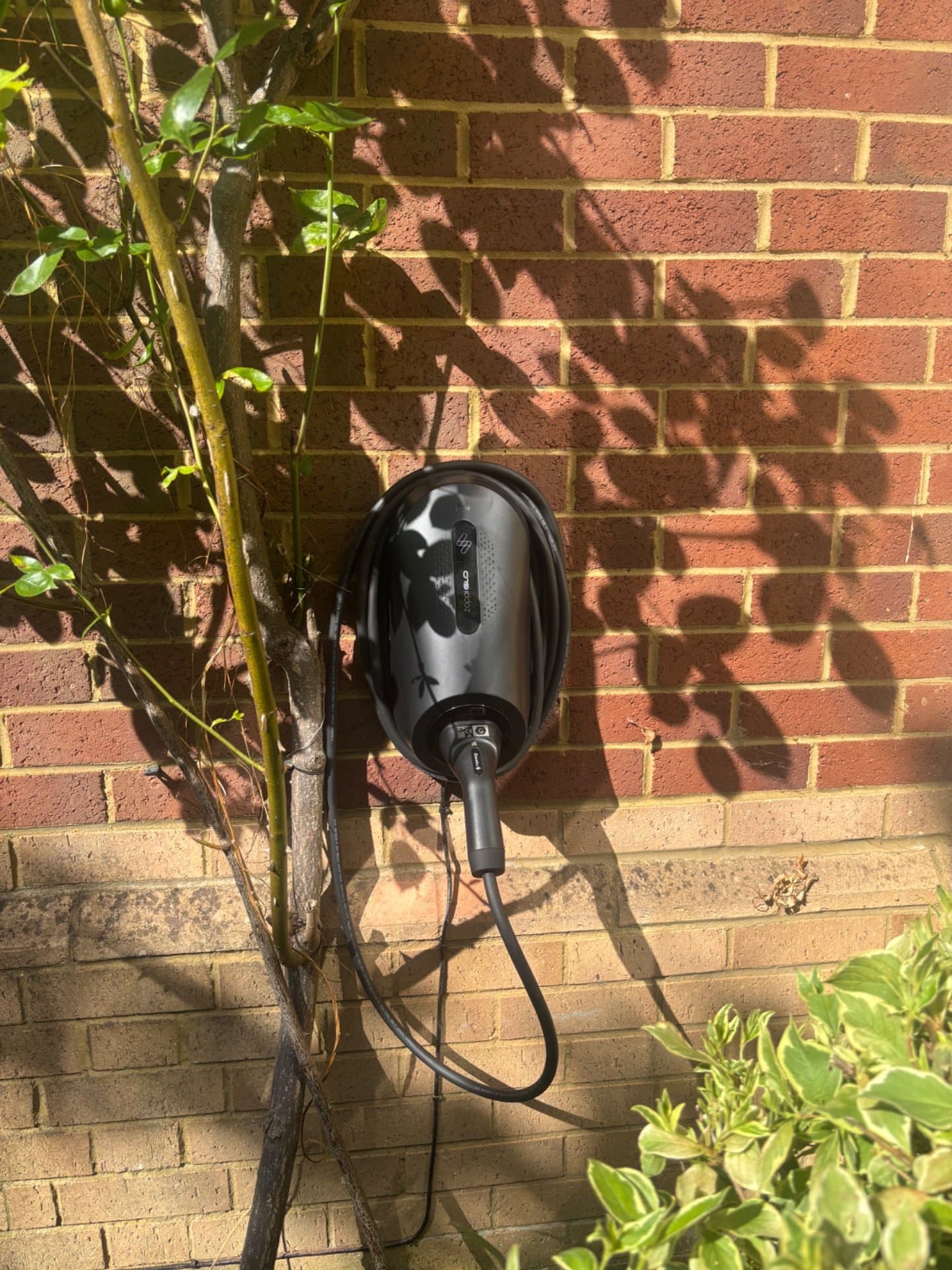 MyEnergi Zappi Glo Installed in Amersham